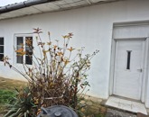 Eladó lakás Villány 18 750 000 Ft