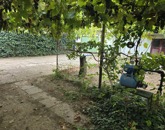 Eladó lakás Nyíregyháza 67 500 000 Ft