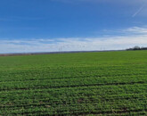 Eladó telek/földterület Kaposvár 7 900 000 Ft