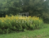 Eladó telek/földterület Nagykutas 2 990 000 Ft