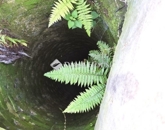 Eladó családi ház Berkesd 8 990 000 Ft