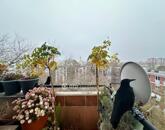 Eladó lakás Budapest IX. ker 67 900 000 Ft