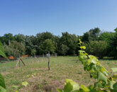 Eladó telek/földterület Sárszentmihály 5 490 000 Ft