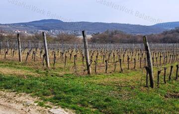 Eladó telek/földterület