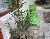 Eladó lakás Budapest II. ker 150 000 000 Ft