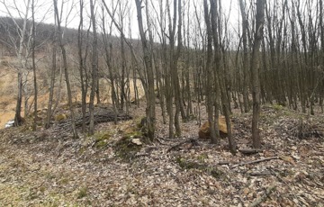 Eladó ipari ingatlan