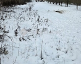 Eladó telek/földterület Tiszapüspöki 9 500 000 Ft