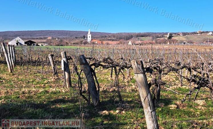 Település szélén -eladó MEZŐGAZDASÁGI TERÜLET BALATONCSICSÓN                                 