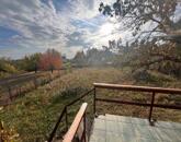 Panorámás Nyaraló Lovas, Alsóörs határán