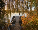 Eladó üdülő/nyaraló Tass 134 000 000 Ft