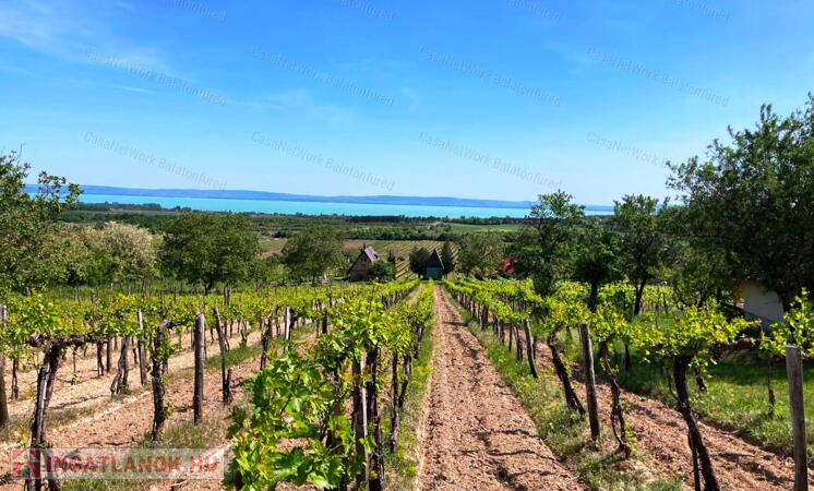 Panorámás -eladó GAZDASÁGI ÉPÜLET és MEZŐGAZDASÁGI TERÜLET TAGYONBAN
