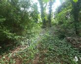 Eladó családi ház Balatonkenese 99 000 000 Ft