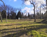 Eladó telek/földterület Szigetmonostor 120 000 000 Ft