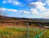 Tökéletes panorámás bővíthető nyaraló Balatonszőlősön