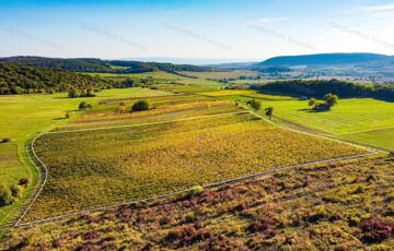 Eladó telek/földterület