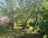 Sorház Balatonfüreden-Árcsökkenés