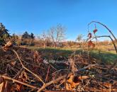 Eladó telek/földterület Ádánd 8 500 000 Ft