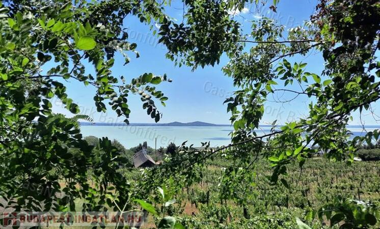 Panorámás terület- eladó GYÜMÖLCSÖS BADACSONYTOMAJBAN                                 