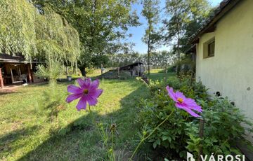 Eladó családi ház