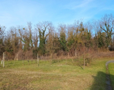 Eladó üdülő/nyaraló Zalaszentgrót 15 900 000 Ft