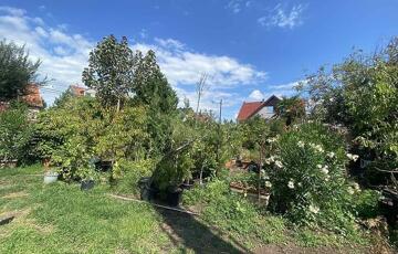 Eladó telek/földterület