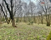 Eladó telek/földterület Budapest II. ker 400 000 000 Ft