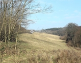 Eladó telek/földterület Alsónemesapáti 55 000 000 Ft