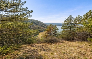 Eladó telek/földterület