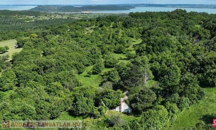 Balaton-felvidéken 6,3 ha birtok, 2 db romos épülettel                                 