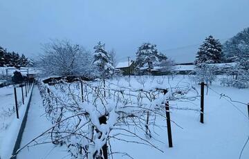 Eladó telek/földterület