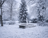 Eladó családi ház Törökbálint 1 750 000 Euro