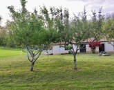 Eladó telek/földterület Kehidakustány 9 000 000 Ft