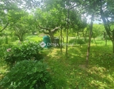 Eladó családi ház Zalaegerszeg 110 000 000 Ft