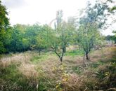 Eladó telek/földterület Bölcske 2 700 000 Ft