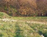 Tatabánya Kőhegy sétány - gyönyörű panorámával építési telek eladó