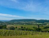 Eladó telek Szentjakabfán