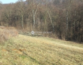 Eladó telek/földterület Alsónemesapáti 55 000 000 Ft