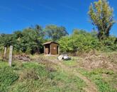 Eladó hangulatos pince Tokodon!