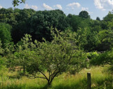 Eladó telek/földterület Kaposvár 6 000 000 Ft