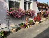 Eladó családi ház Szepetnek 39 900 000 Ft