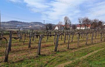 Eladó telek/földterület