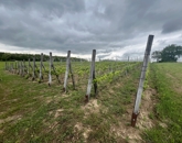 Eladó üdülő/nyaraló Ravazd 60 000 000 Ft