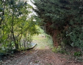 Eladó telek/földterület Szentendre 57 500 000 Ft