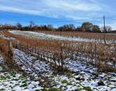 Kiváló környezetben -eladó GAZDASÁGI ÉPÜLET BALATONCSICSÓN