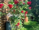 Eladó családi ház Birján 84 900 000 Ft