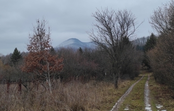 Eladó telek/földterület