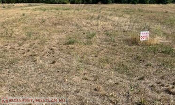 Abonyban 6766 m²-es belterületi telek eladó!                                 