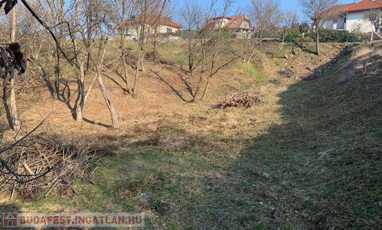 Telek a város peremén                                 