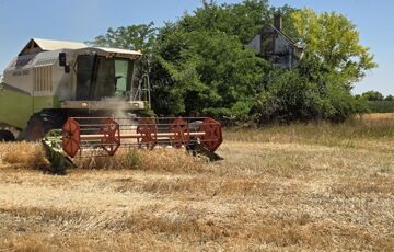 Eladó telek/földterület