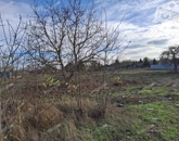 Eladó ipari ingatlan Kecskemét 55 600 000 Ft